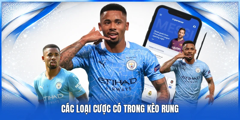 Kèo Rung Là Gì? Kinh Nghiệm Đặt Cược Đem Lại Hiệu Quả Cao 3 Các loại cược có trong kèo rung